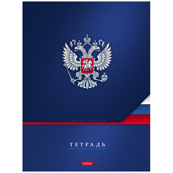 Тетрадь А4 на 4-х кольцах 160л. Хатбер" Россия"