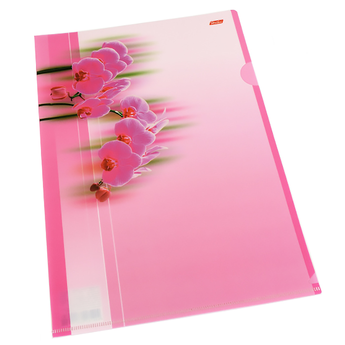 Папка-уголок Хатбер "Розовая орхидея", A4, с рисунком — Абсолют