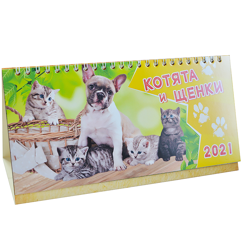 Календарь-домик на 2021 г.  "Котята и щенки" — Абсолют