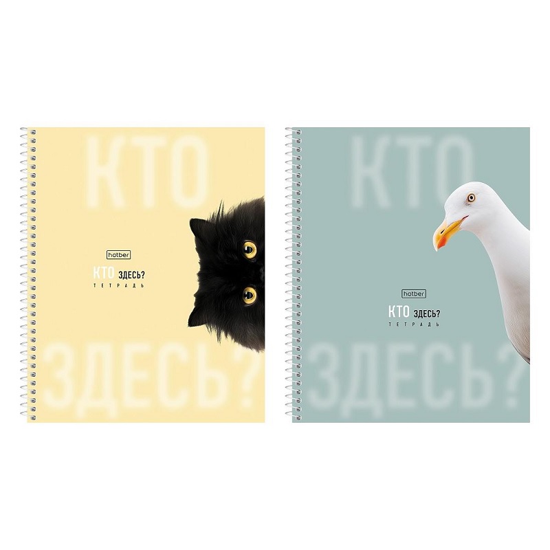 Тетрадь  А5  96л. кл. спираль "Хатбер"Кто здесь", мат.ламин, 2 дизайнов