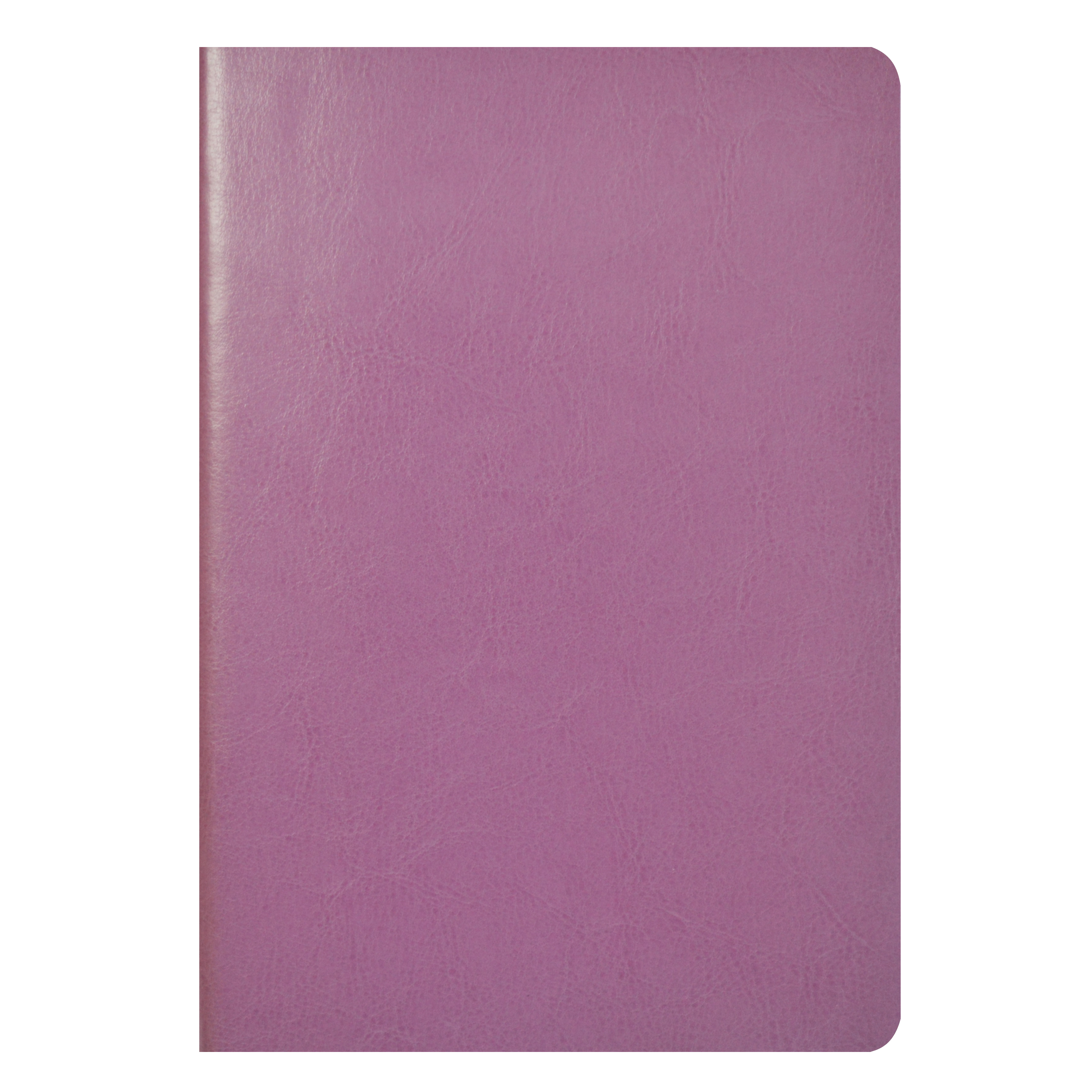 Записная книга-Скетчбук Salut Flex А5, нелинов., 160стр., крем.блок, фуксия Записная книга-Скетчбук Salut Flex А5, нелинов., 160стр., крем.блок, фуксия