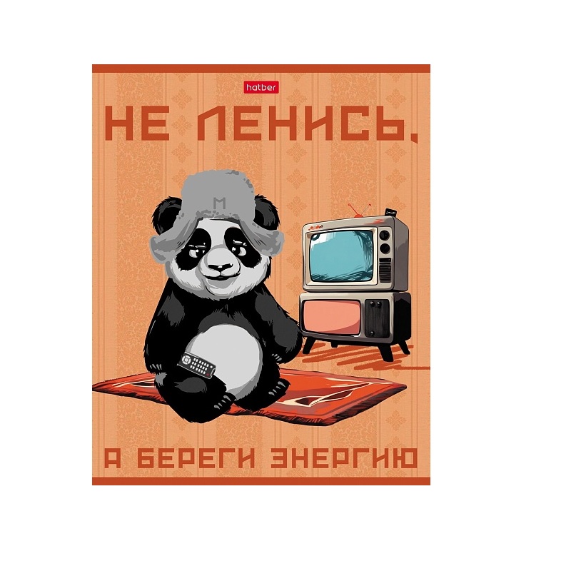 Тетрадь  А5  48л. кл. скоба "Хатбер"Мудрая панда", скругл.углы, 5 дизайнов