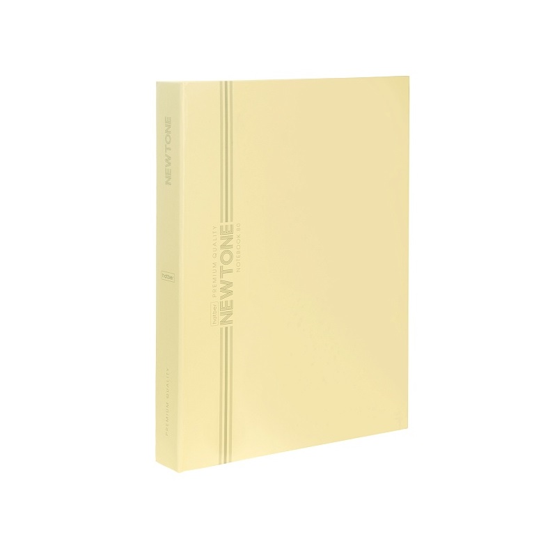 Тетрадь  А4 80л. кл. на 4-х кольцах "Хатбер"NEWtone Pastel лунный камень
