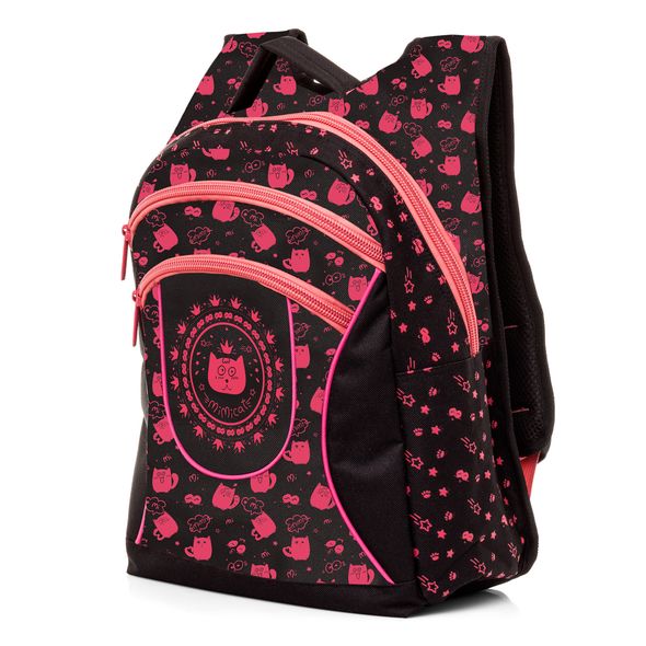 *Рюкзак Hatber BASIC PLUS 38х30х15, MiMicat *Рюкзак Hatber BASIC PLUS 38х30х15, MiMicat