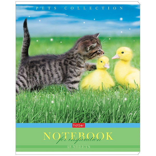 Тетрадь А5 Хатбер "Усы, лапы, хвост" 48л., клетка, скоба, ассорти — Абсолют
