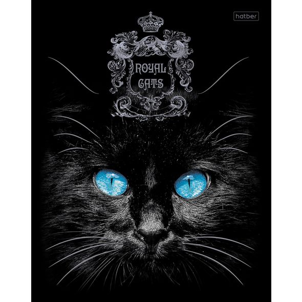 Тетрадь А5 Хатбер "Royal Cats" клетка, 3D, скоба, рисунок ассорти — Абсолют