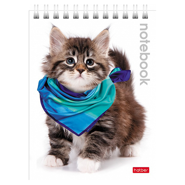 Блокнот  А6 040 л. , спираль "Милые Котята"