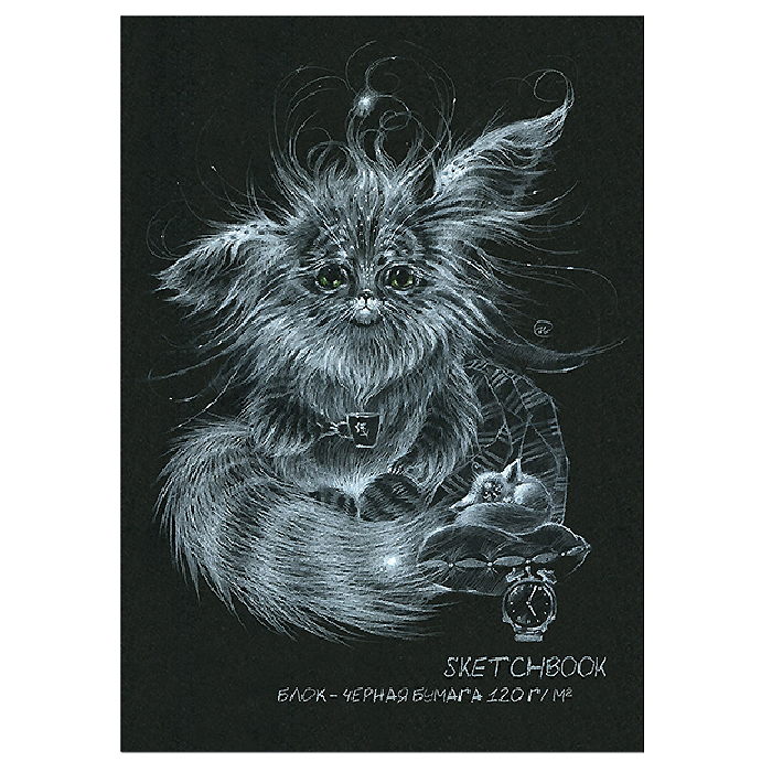 Блокнот А5 20л "Sketchbook Black", черн.бум.120 г/м², скрепка Блокнот А5 20л "Sketchbook Black", черн.бум.120 г/м², скрепка