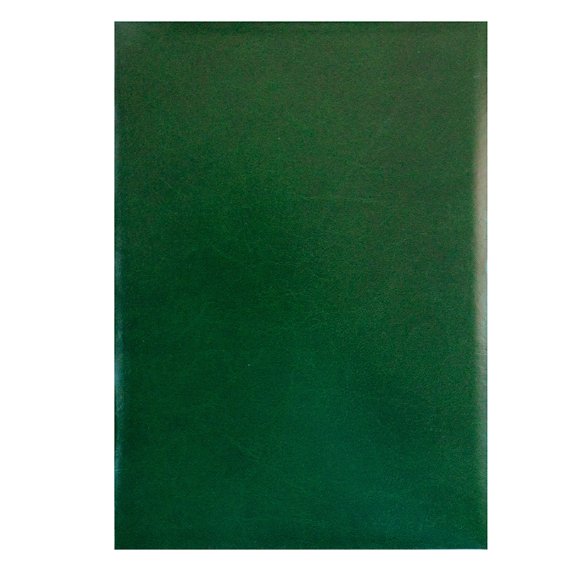 Папка адресная, без надписи, А4, зеленая — Абсолют